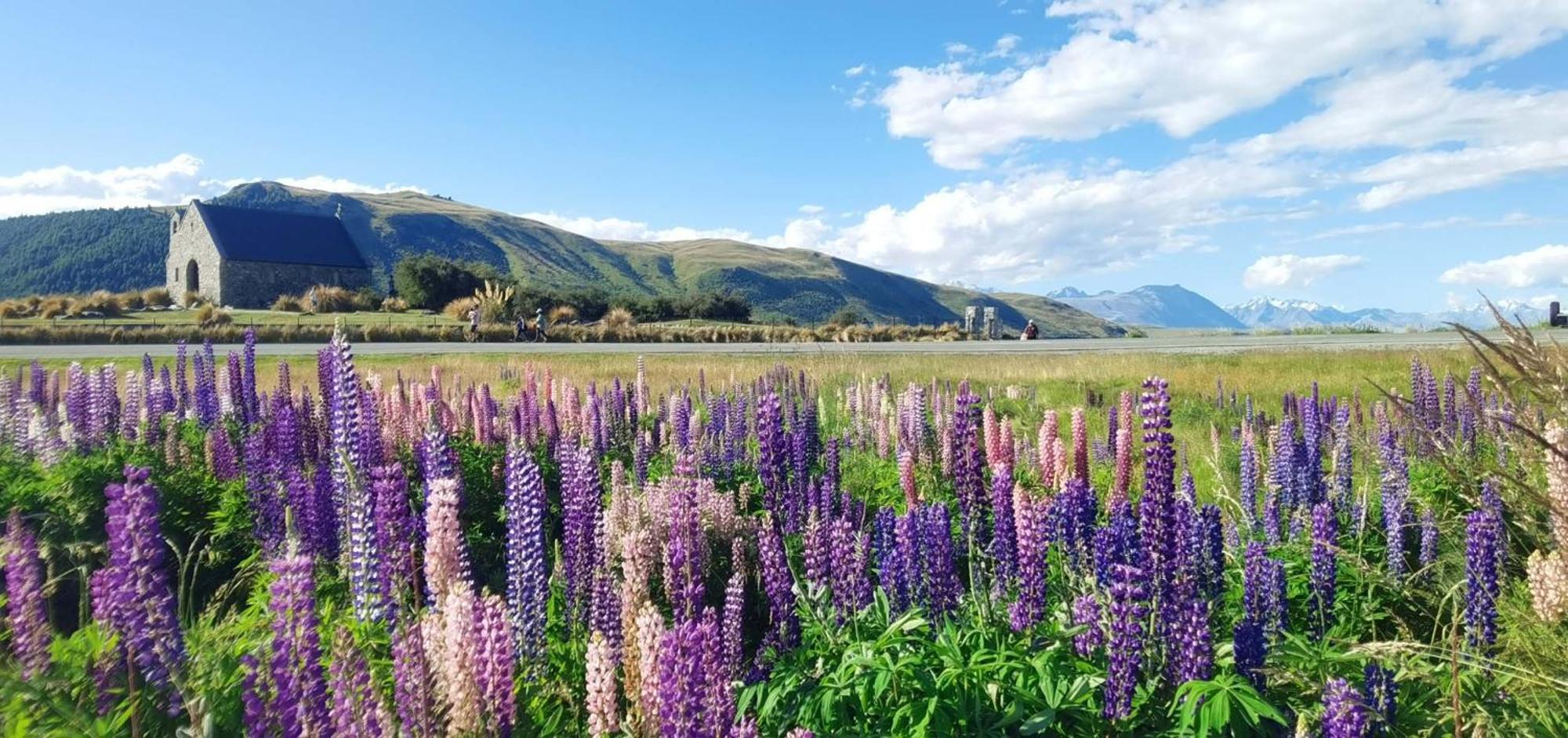 37 Galaxy C Studio Lake Tekapo Luaran gambar