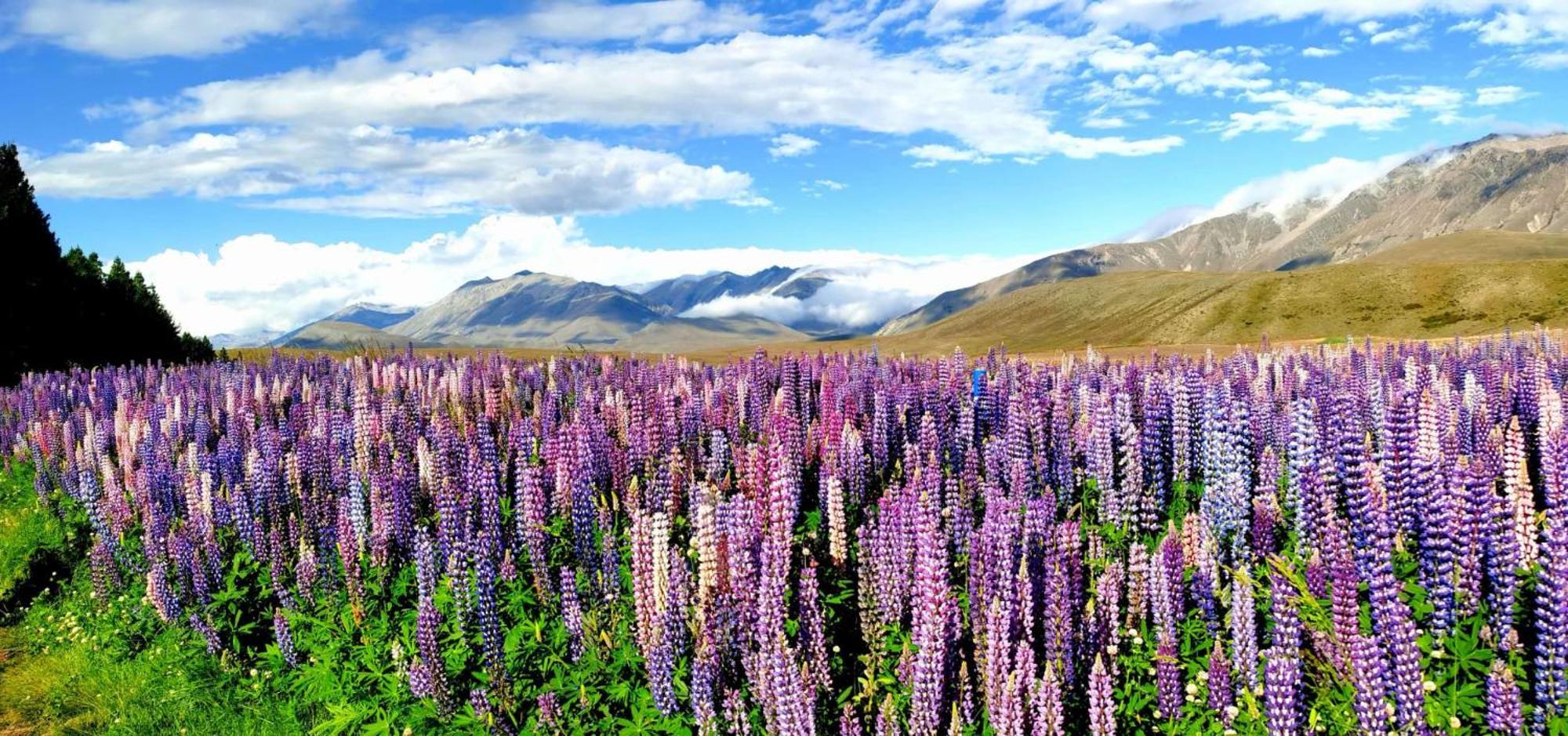 37 Galaxy C Studio Lake Tekapo Luaran gambar